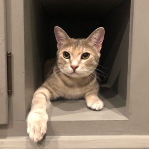 Meet your Posher, Jesse